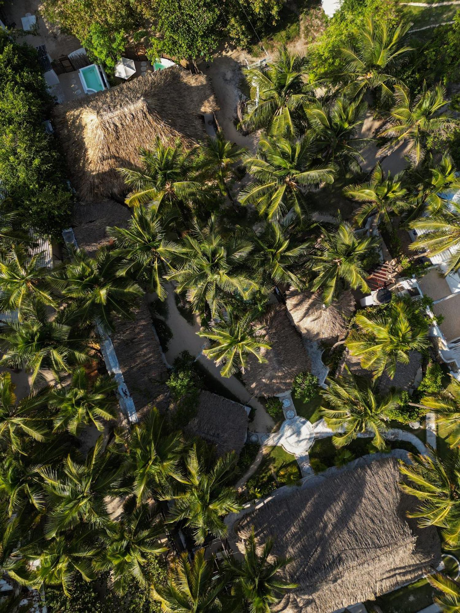 Vista Mare Beach House Cano de Loro Εξωτερικό φωτογραφία